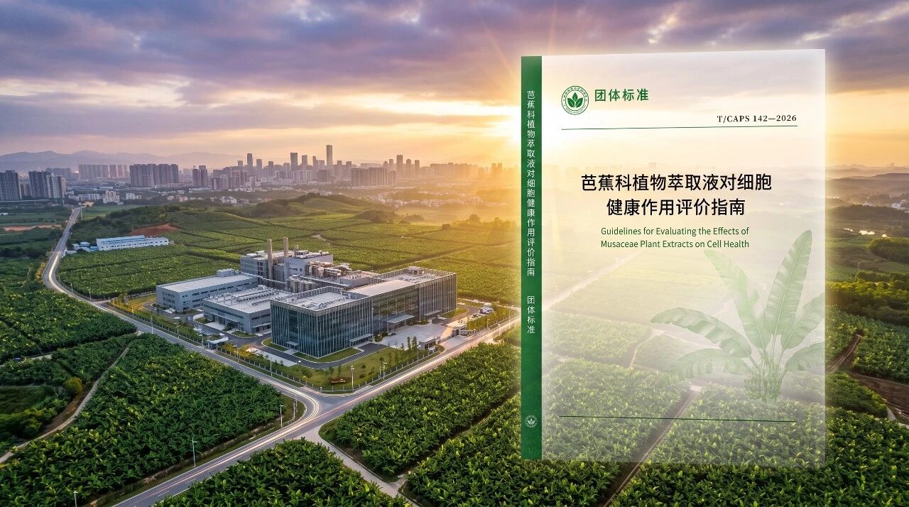 一份芭蕉科团体标准的五个月:从立项到实施,它经过了什么